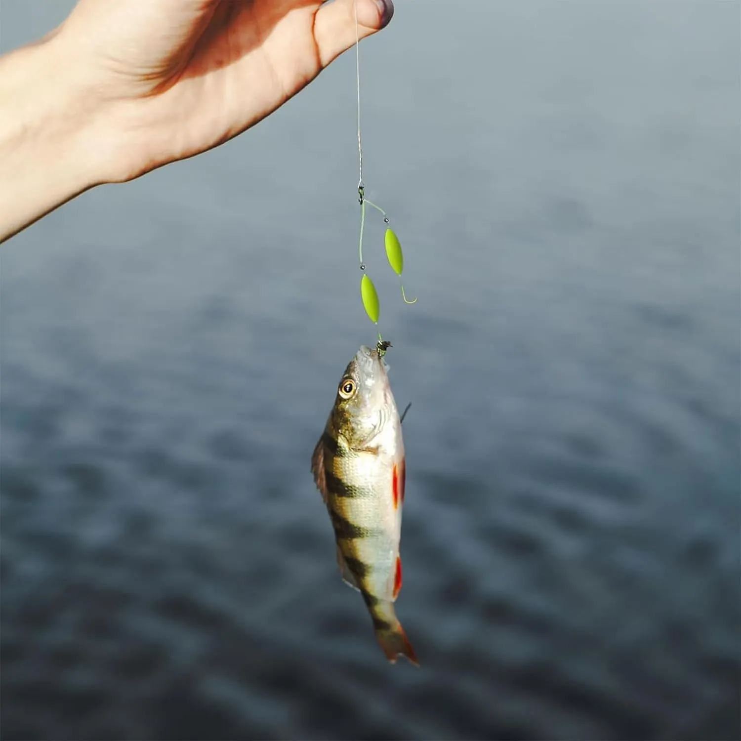 Double-Hook Reverse Bottom Rig, 2025 New Reverse Bottom Fishing Rig Hooks, Anti Tangle Fishing Hooks. Swimming Bait for Freshwater Saltwater, Fishings Lures for Beginners Amateurs