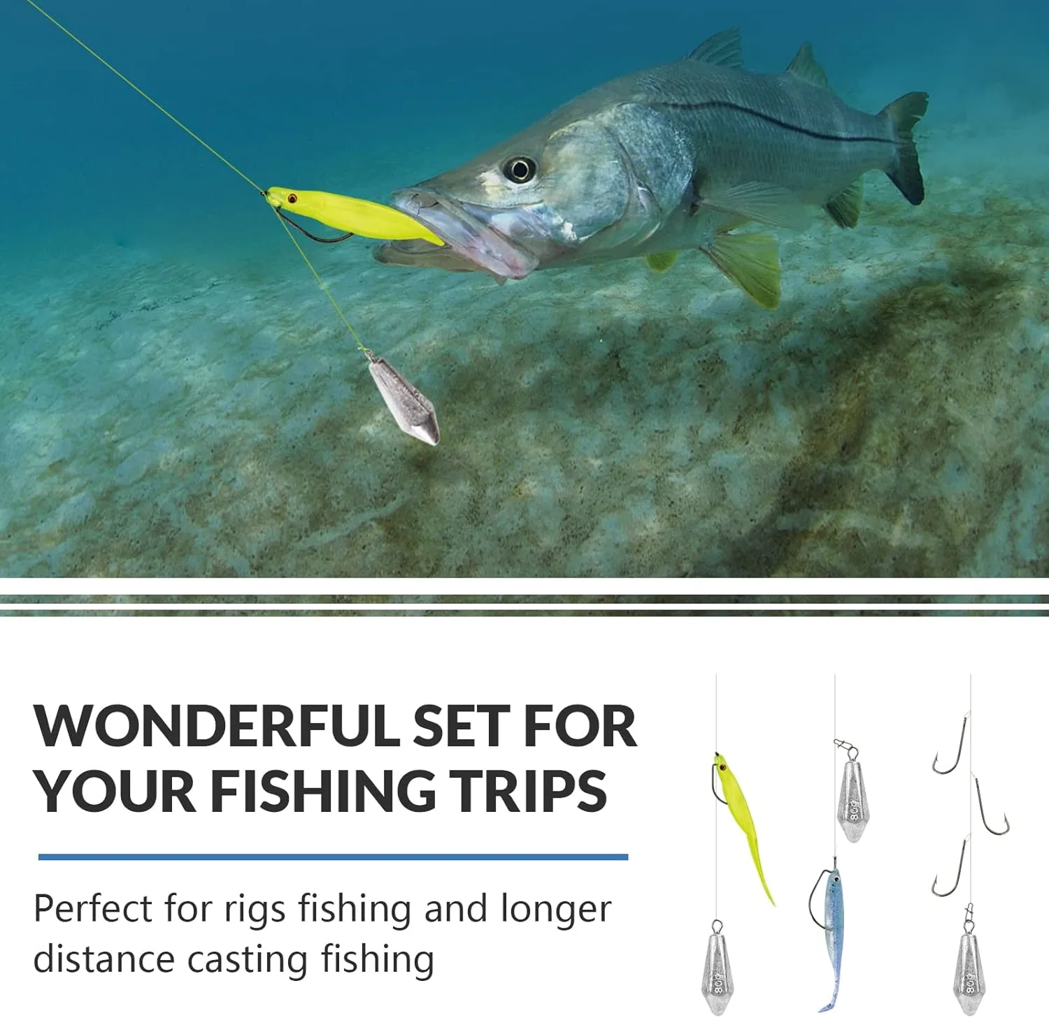 QualyQualy Drop Shot Fishing Weights Kit - Saltwater Sinker Casting Lead